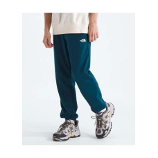 Спортивні штани THE NORTH FACE темно-бирюзові 002644
